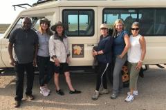 safaris and tours