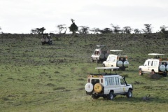 6-Day Experience the Wild Masai Mara Reserve