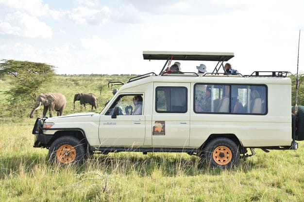 Kenya Big Five Safari