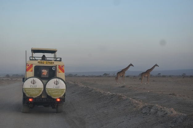 Kenya Dream Safari