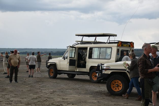 Kenya Mini Safari