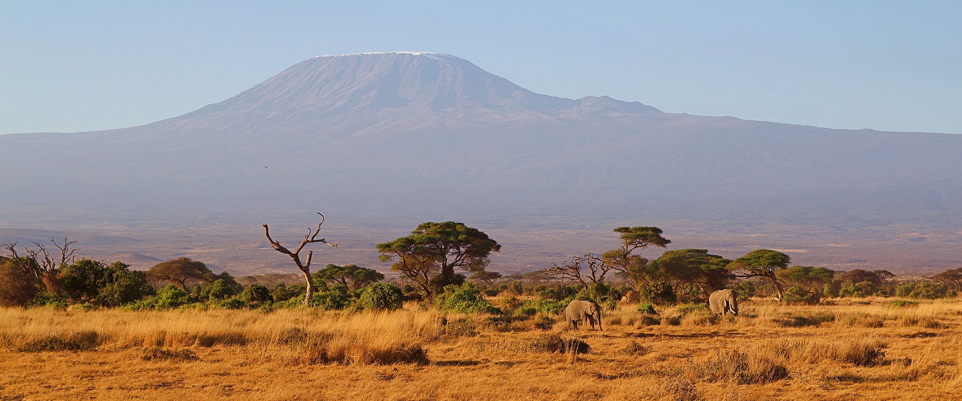 The Beauty of Tanzania, Ngorongoro, Serengeti & Tarangire