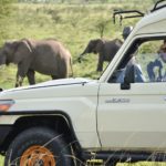 plan your safari