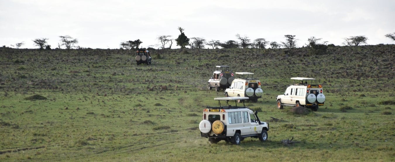 6-Day Experience the Wild Masai Mara Reserve